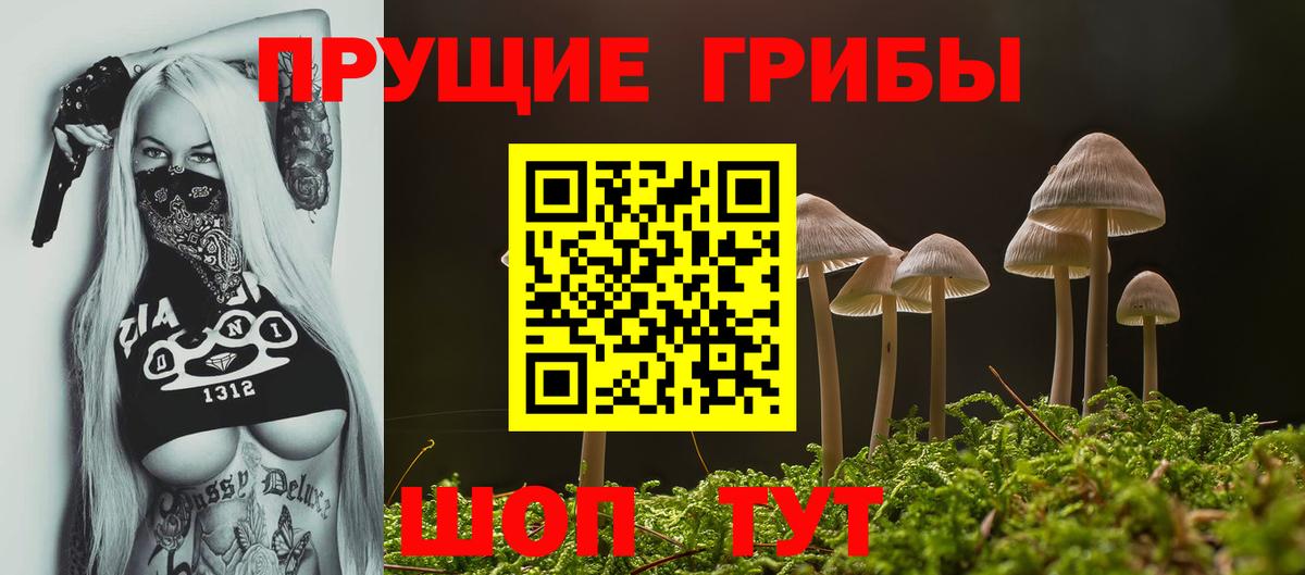 Псилоцибиновые грибы прущие грибы  Вход с VPN  Гусиноозёрск 
